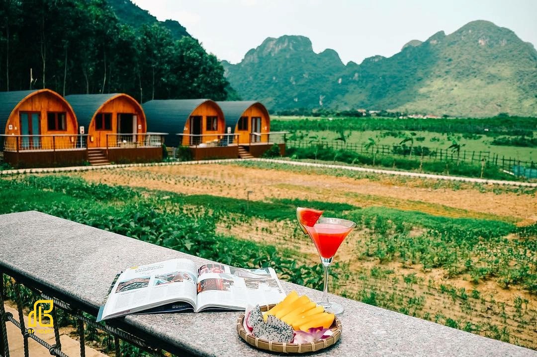 Farmstay kết hợp nghỉ dưỡng